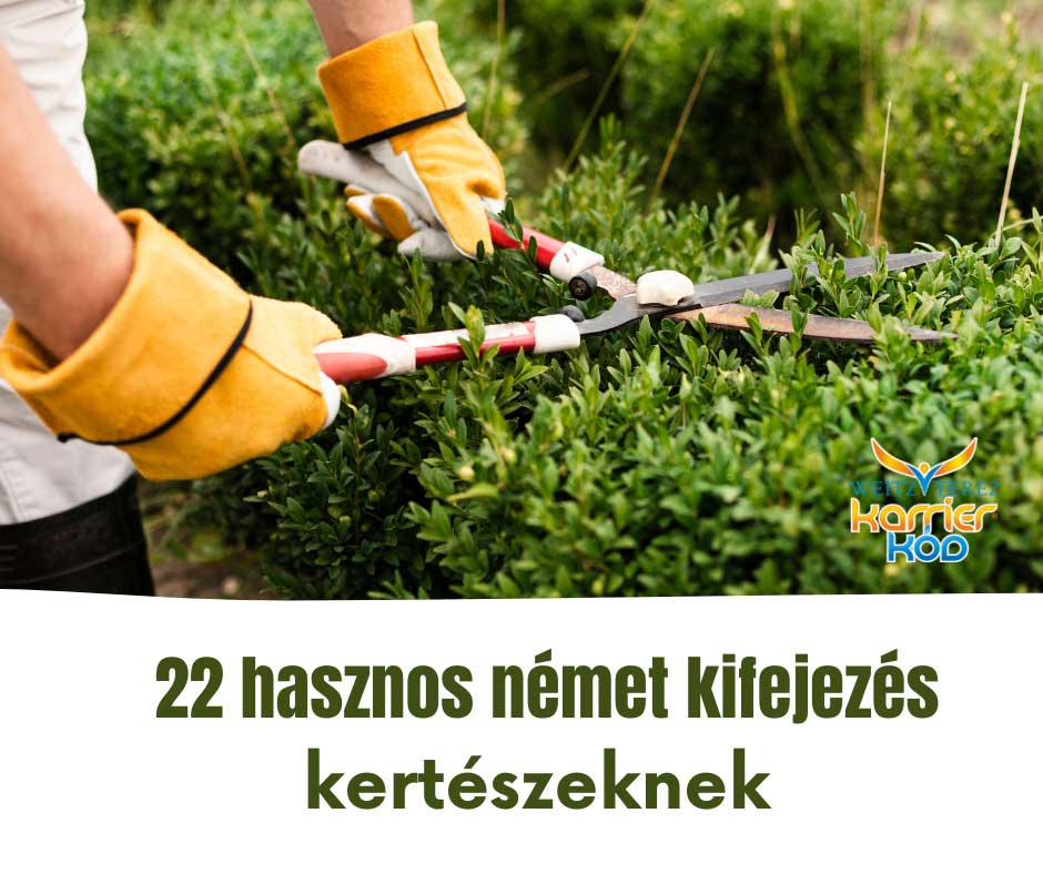 22 nemet kifejezes kerteszeknek